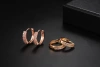 Exquisite and shiny earrings and stud earrings for women, Korean fashion zircon ear buckles, double-row diamond-encruted ear buckles Specification image